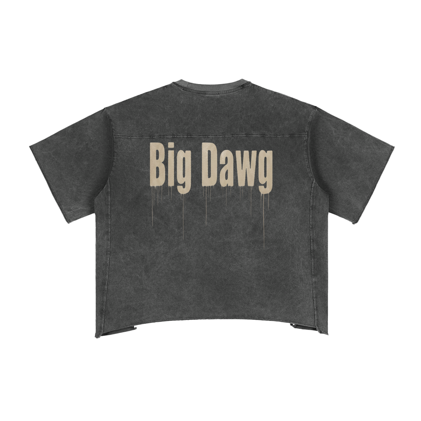 "big dawg" boxy t-shirt