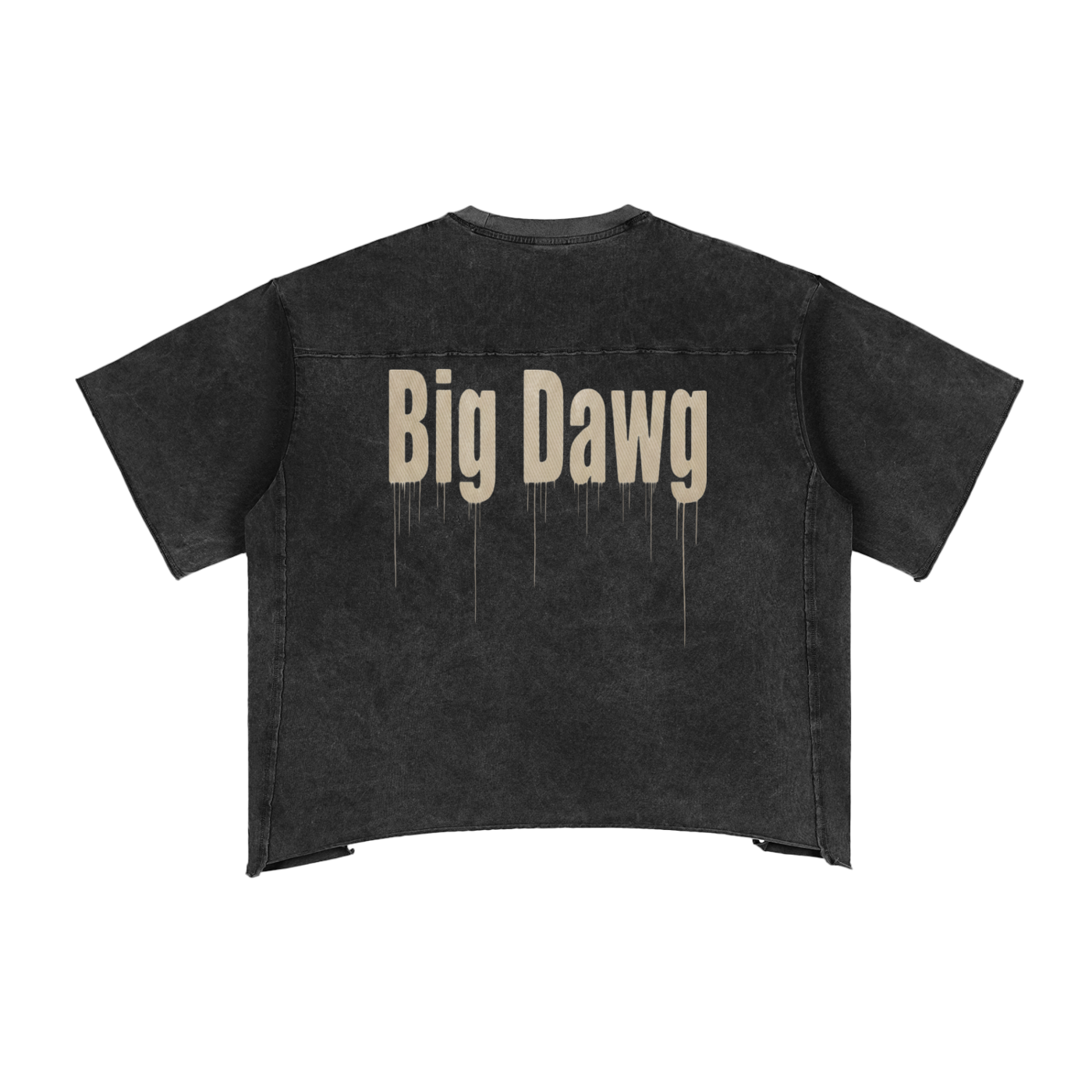 "big dawg" boxy t-shirt